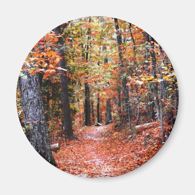 Painted Forest Autumn Trail Watercolor Gifts Magnet (Front)