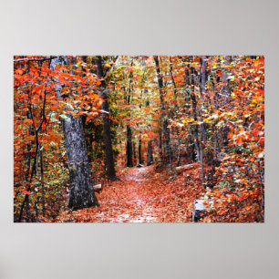 Painted Forest Autumn Trail Watercolor Print