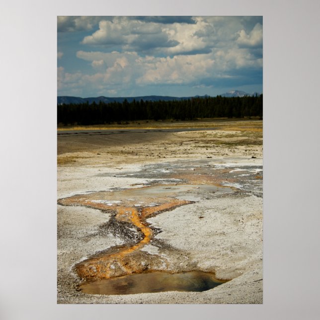 Painted Grounds Print (Front)