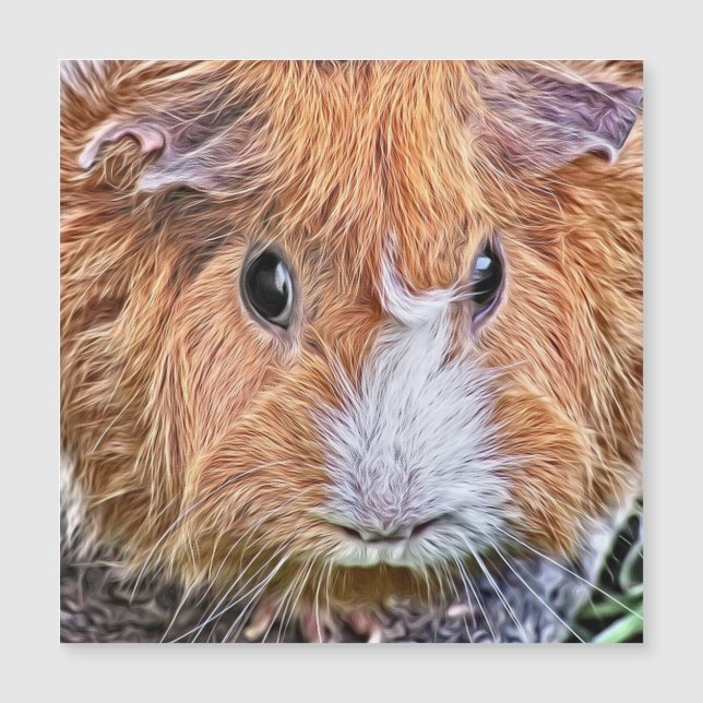 painted guinea pig 5 (Front)