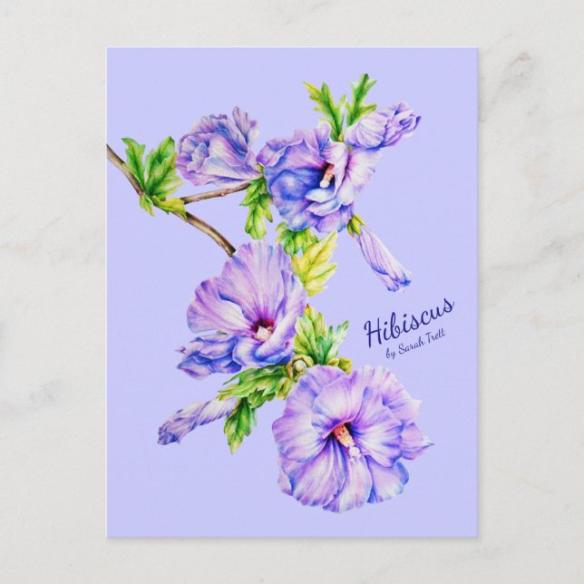 Painted Hibiscus syriacus blue fine art postcard (Front)