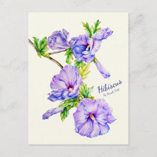 Painted Hibiscus syriacus fine art rose postcard