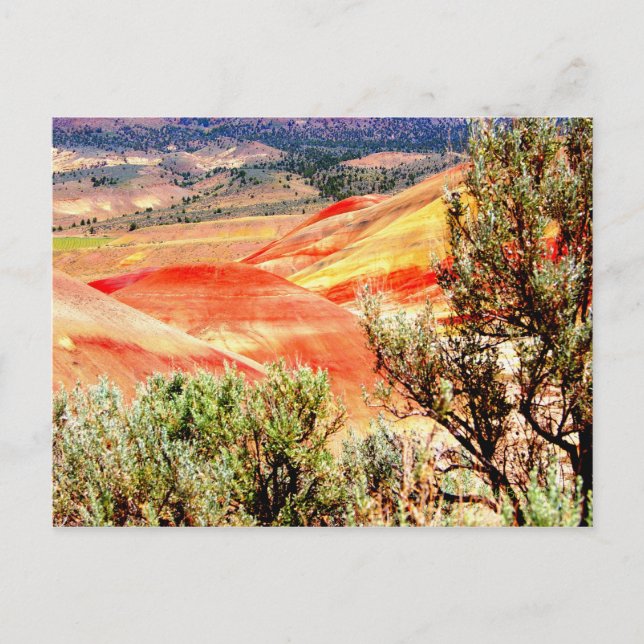 Painted Hills Oregon Postcard (Front)