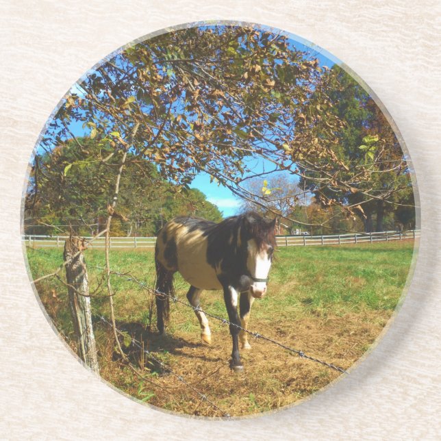 Painted Horse, Coaster (Front)