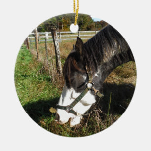 Painted Horse, Eating Queen Ann Lace flower Ceramic Ornament