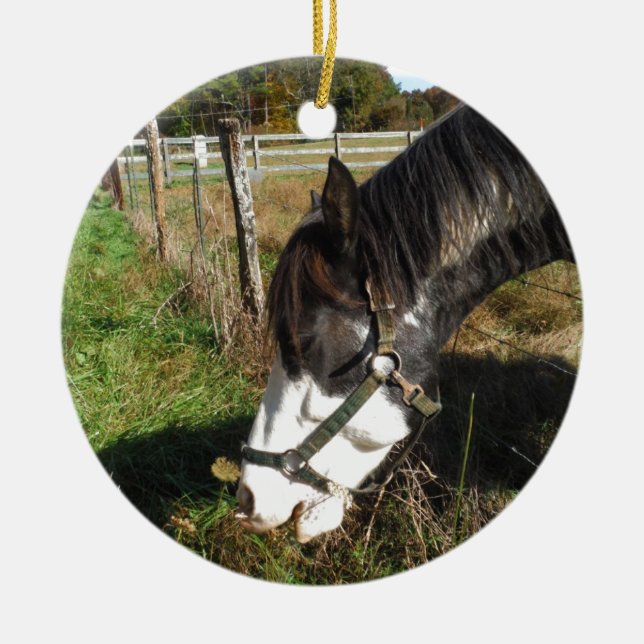 Painted Horse, Eating Queen Ann Lace flower Ceramic Ornament (Front)