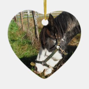 Painted Horse, Eating Queen Ann Lace flower Ceramic Ornament