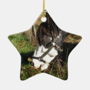 Painted Horse, Eating Queen Ann Lace flower Ceramic Ornament