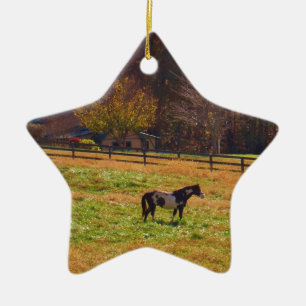 Painted Horse in the Distance Ceramic Ornament
