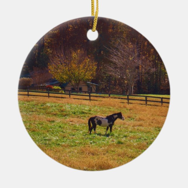 Painted Horse in the Distance Ceramic Ornament (Front)