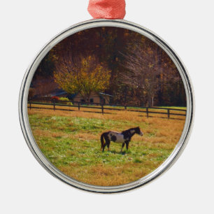 Painted Horse in the Distance Metal Ornament