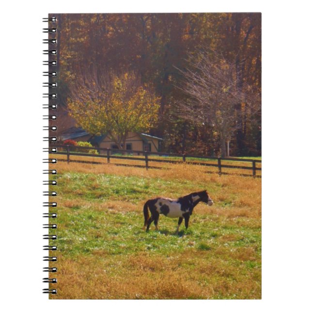 Painted Horse in the Distance Notebook (Front)