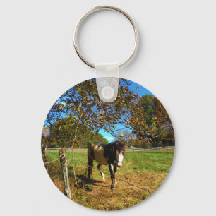 Painted Horse, Key Ring