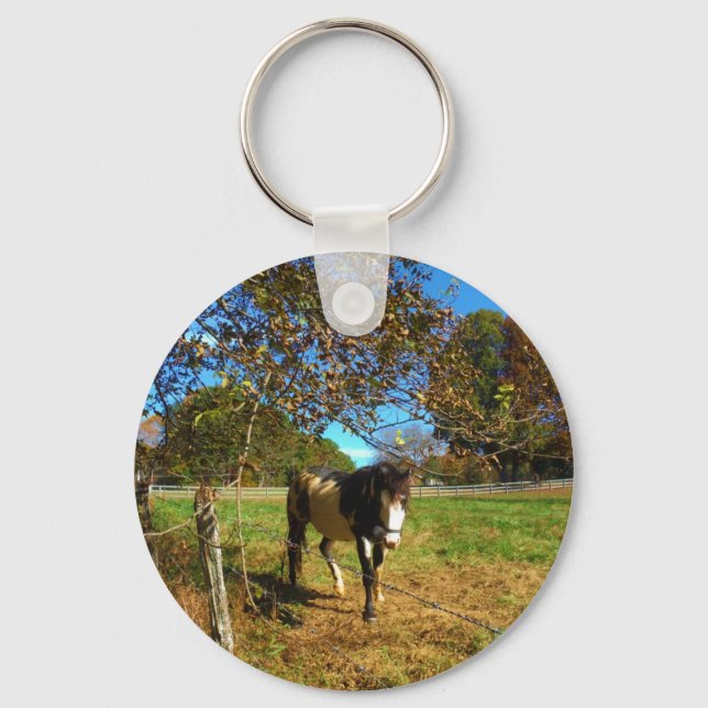 Painted Horse, Key Ring (Front)