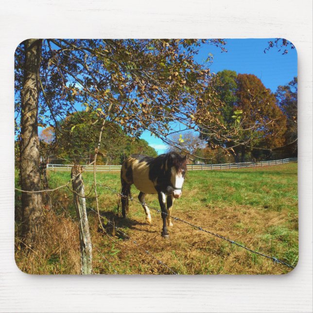 Painted Horse, Mouse Pad (Front)