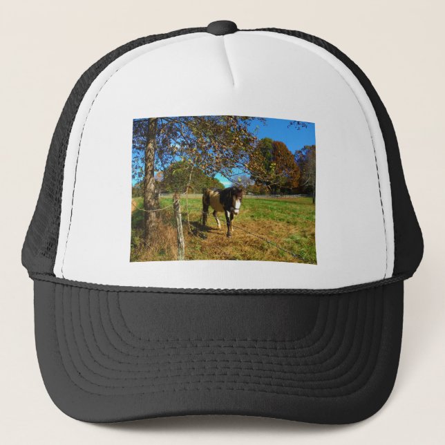 Painted Horse, Trucker Hat (Front)