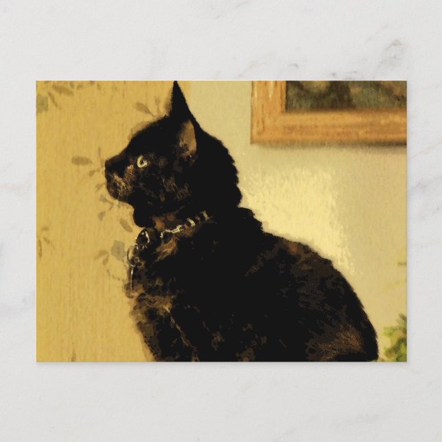 Painted Kitty Postcard (Front)