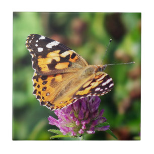 Painted Lady Butterfly Ceramic Photo Tile