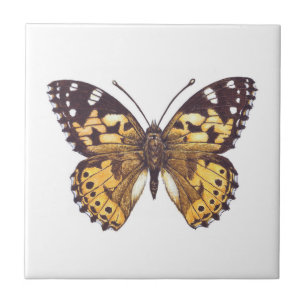 Painted lady butterfly ceramic tile