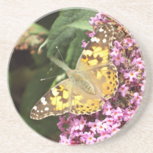 Painted Lady Butterfly Coaster