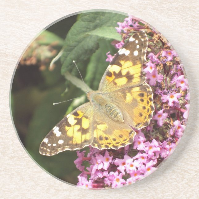 Painted Lady Butterfly Coaster (Front)