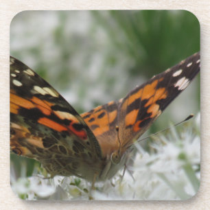 Painted Lady Butterfly Coaster