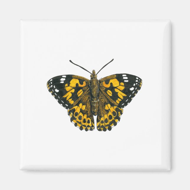 Painted lady butterfly magnet (Front)