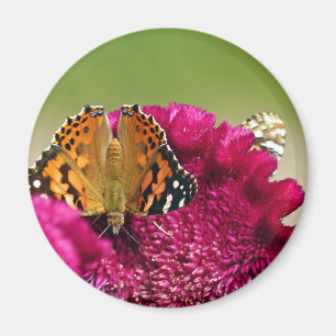 Painted Lady Butterfly Magnet