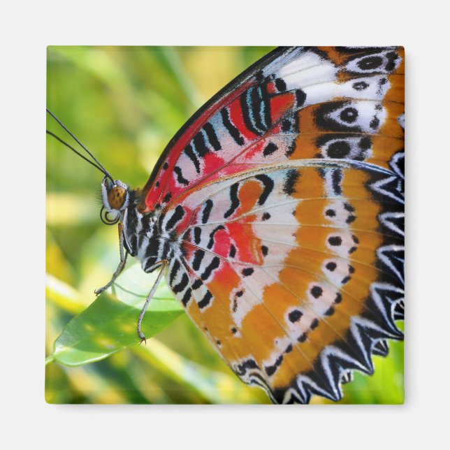Painted Lady Butterfly Magnet (Front)