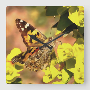 Painted Lady Butterfly on Myrtle Spurge Square Wall Clock