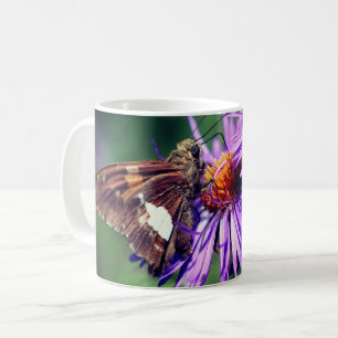 Painted Lady Butterfly On Wild Aster Flower   Coffee Mug