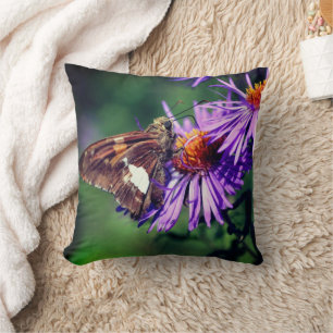 Painted Lady Butterfly On Wild Aster Flower   Cushion