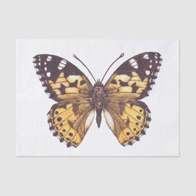 Painted lady butterfly tissue paper (Front)
