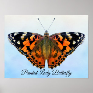 Painted Lady Butterfly Watercolor Painting Poster