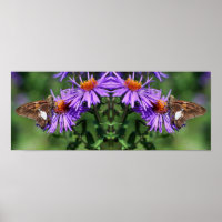 Painted Lady Butterfly Wildflower Mirror Abstract