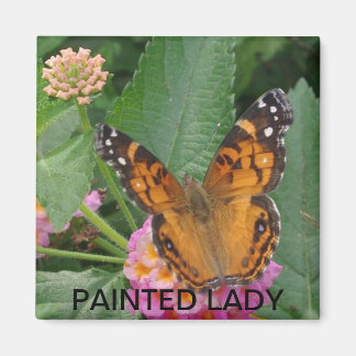 PAINTED LADY MAGNET
