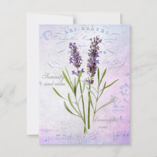 Painted Lavandula Vera Serenity and Calm Postcard