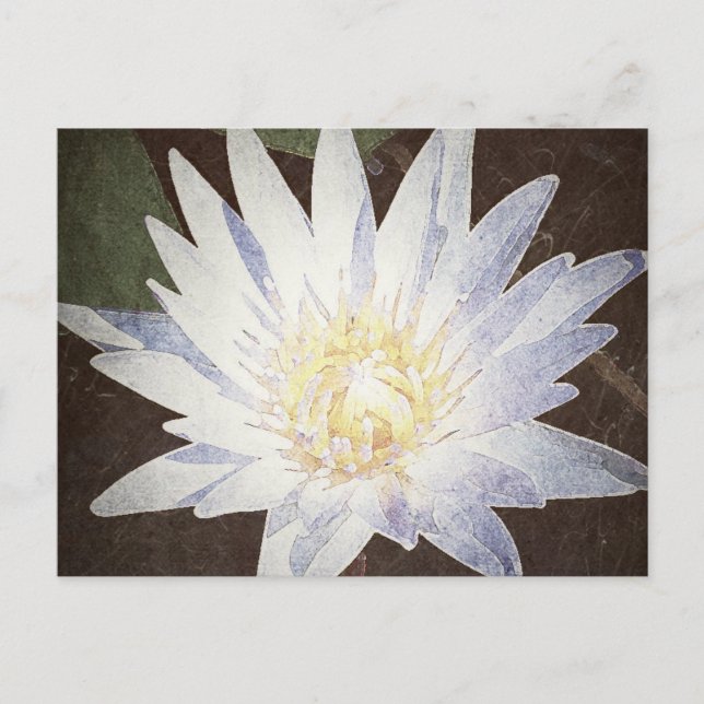 "PAINTED LOTUS" POSTCARD (Front)