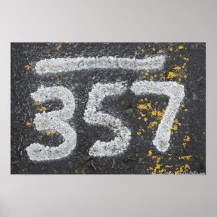 Painted On The Road: 357 Poster