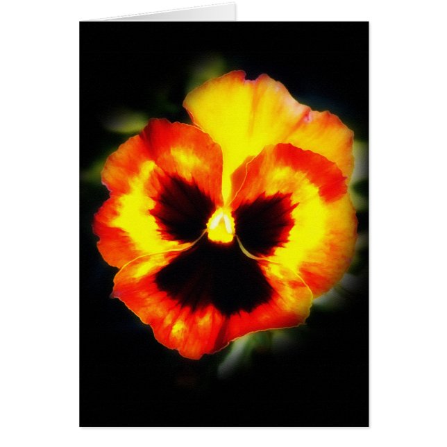 Painted Pansy (Front)
