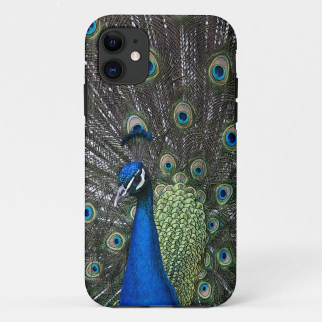 Painted Peacock iPhone 5 Case-Mate Case (Back)