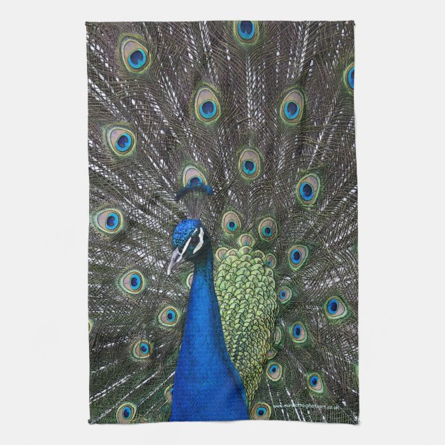 Painted Peacock Kitchen Towel (Vertical)