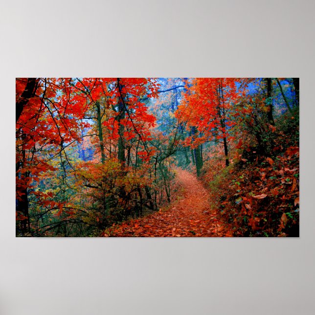 Painted Photograph Forest Autumn Flame Trail Poster (Front)