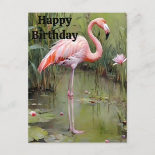 Painted Pink Flamingo In Pond, Birthday Postcard
