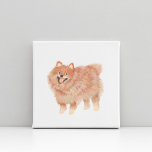 Painted Pomeranian Pet Dog Portrait Faux Canvas Print<br><div class="desc">Painted Pomeranian portrait by Shelby Allison</div>