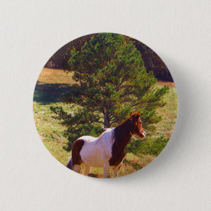 Painted Pony  by the Pine 6 Cm Round Badge