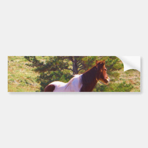 Painted Pony  by the Pine Bumper Sticker