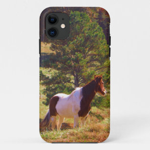 Painted Pony  by the Pine iPhone 11 Case