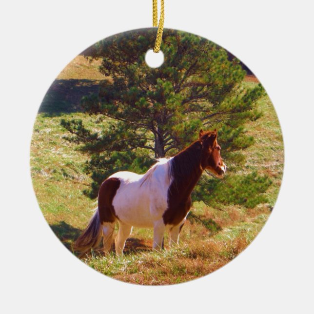 Painted Pony  by the Pine Ceramic Tree Decoration (Front)