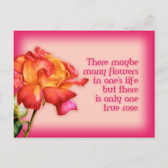 Painted quote fine art rose postcard (Front)